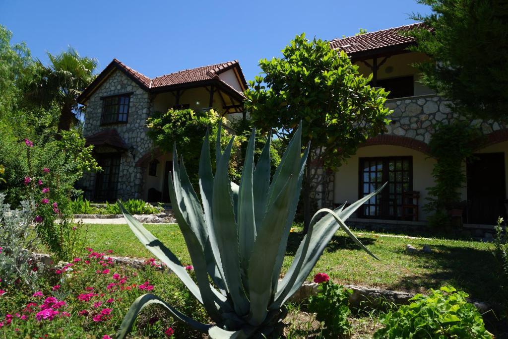 Mountain Lodge Hotel Doger Koyu Exterior foto